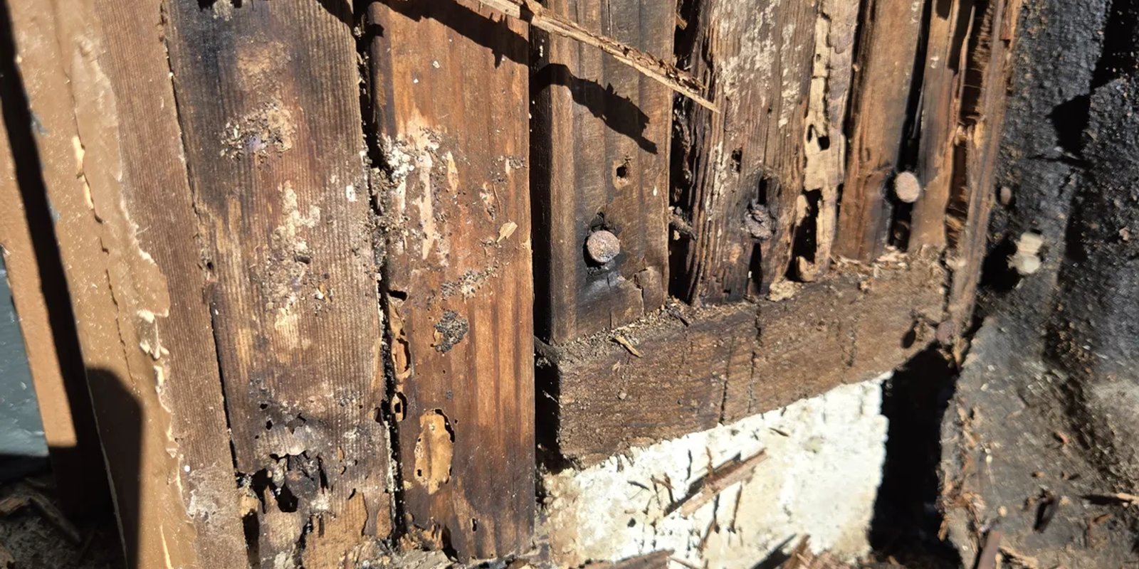 Decayed wood framing visible at an exterior wall corner