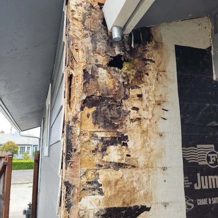 Severe dry rot damage on exterior trim and wall framing