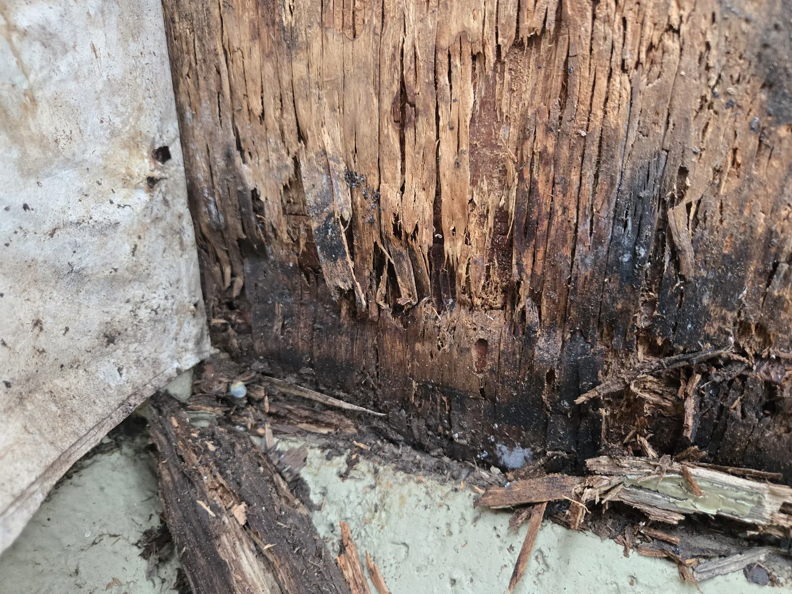 Soft dry rot damage found behind exterior siding