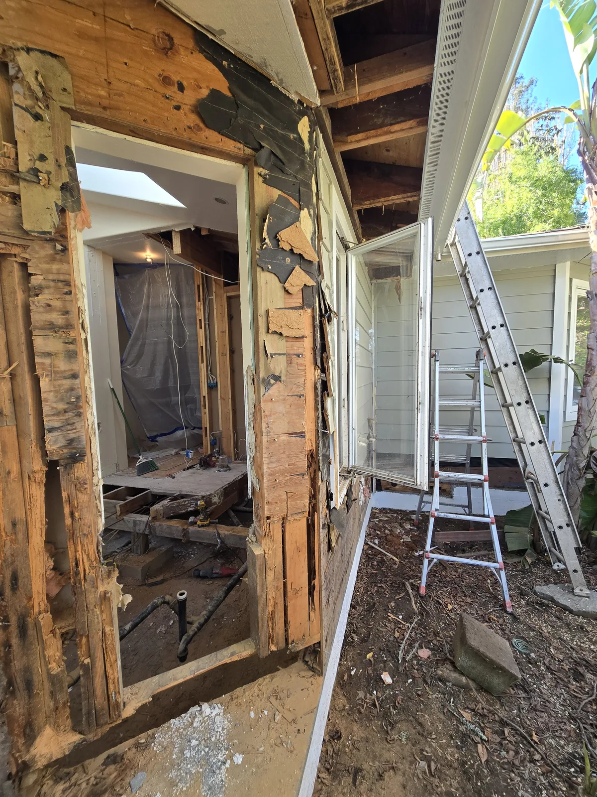 Dry rot repair area opened up on an exterior wall
