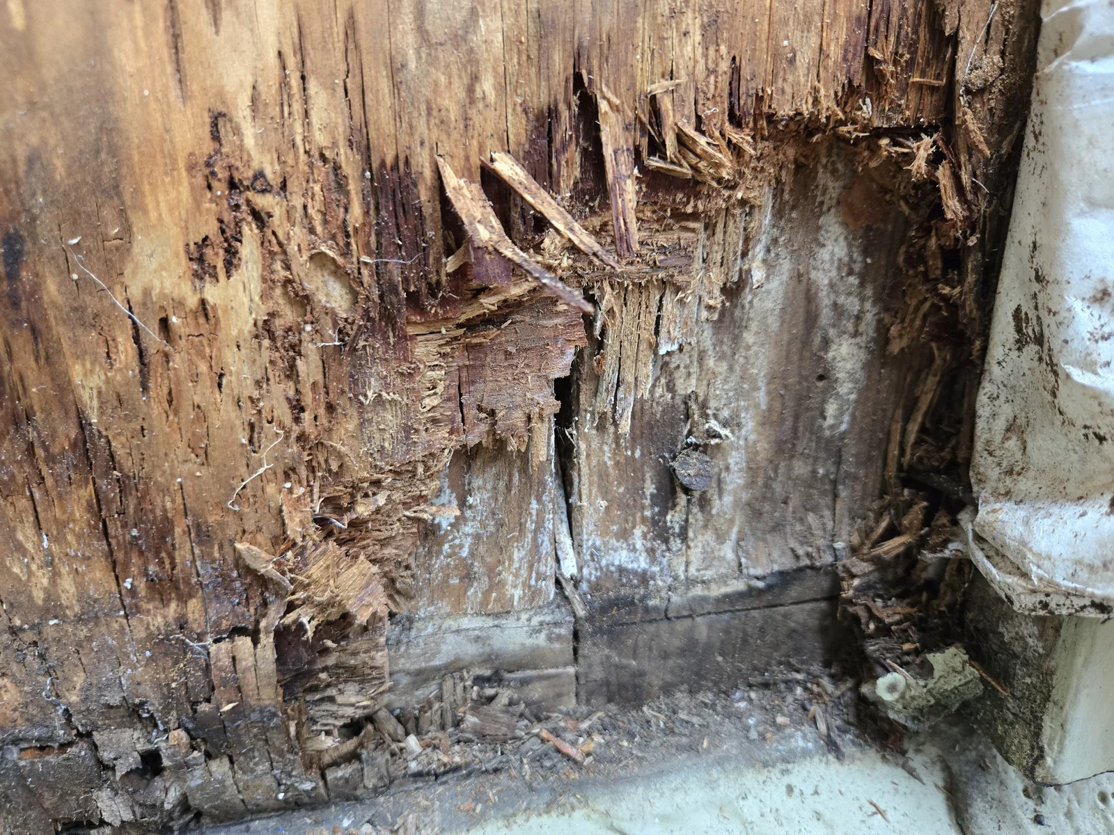 Deterioration at the base of exposed exterior wood